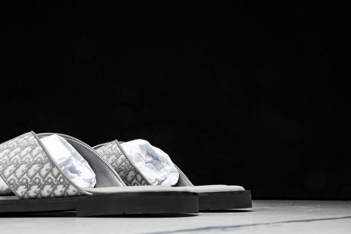 D1R* SLIDE copshoe DR-SLIDE 016