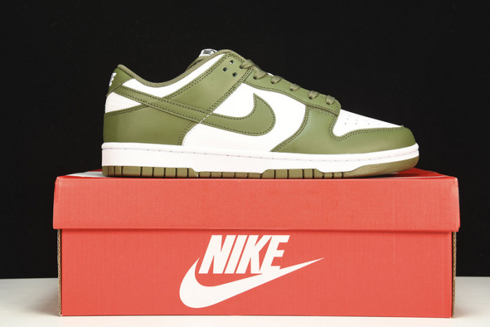 nike dunk low medium olive (w) - dd1503-120